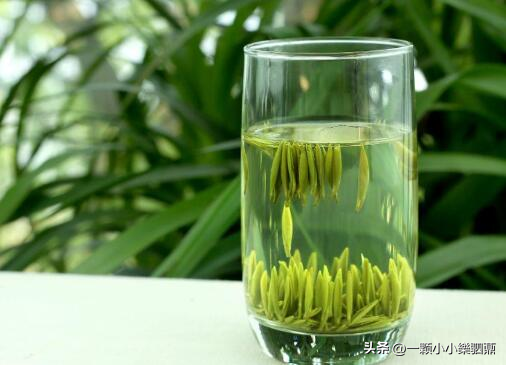 焕古茶叶紫阳富硒茶一级