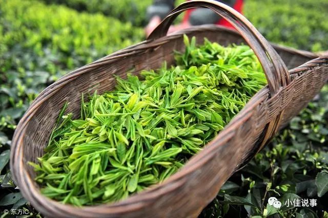 富硒茶冲泡多少次比较好