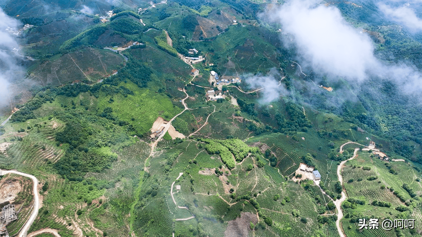 全国三大富硒茶区在哪里