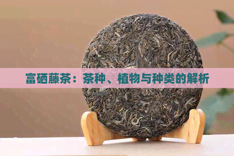 富硒藤茶：茶种、植物与种类的解析