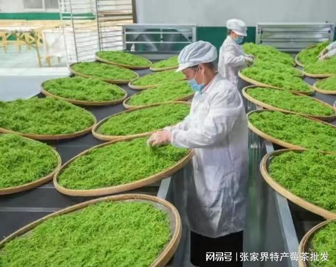 500克张家界富硒莓茶