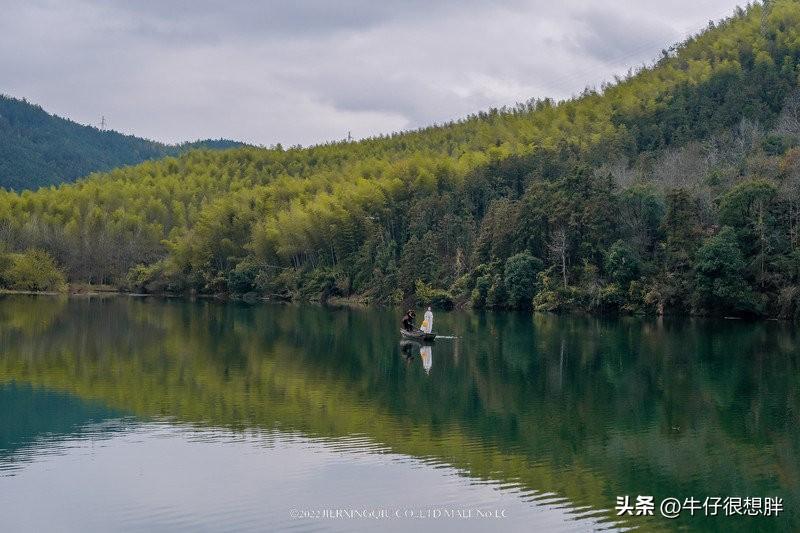 富硒仙寓山野茶多钱一盒