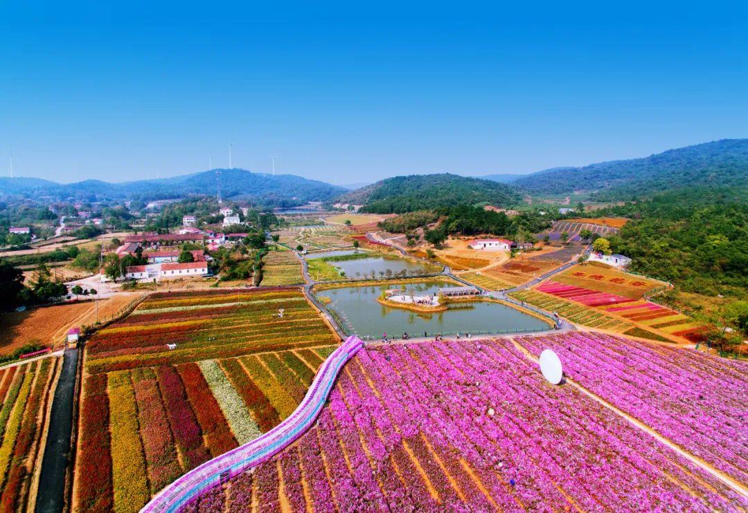 巴东野三关是富硒茶区吗