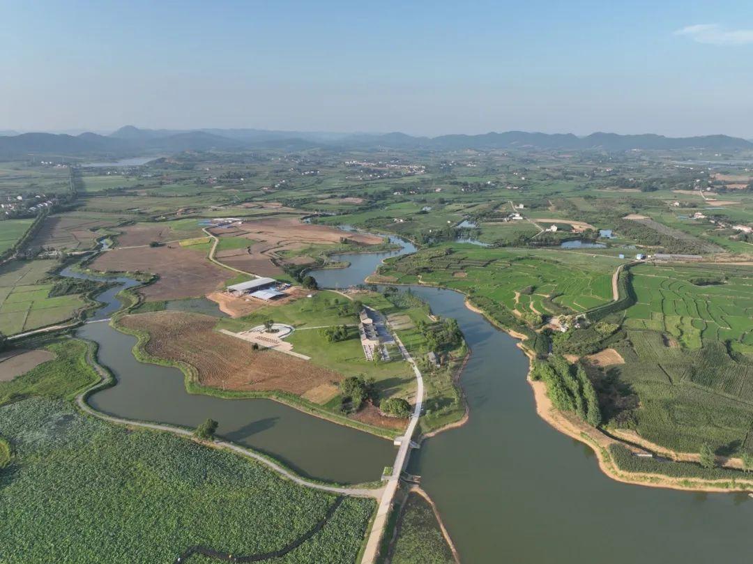 巴东野三关是富硒茶区吗