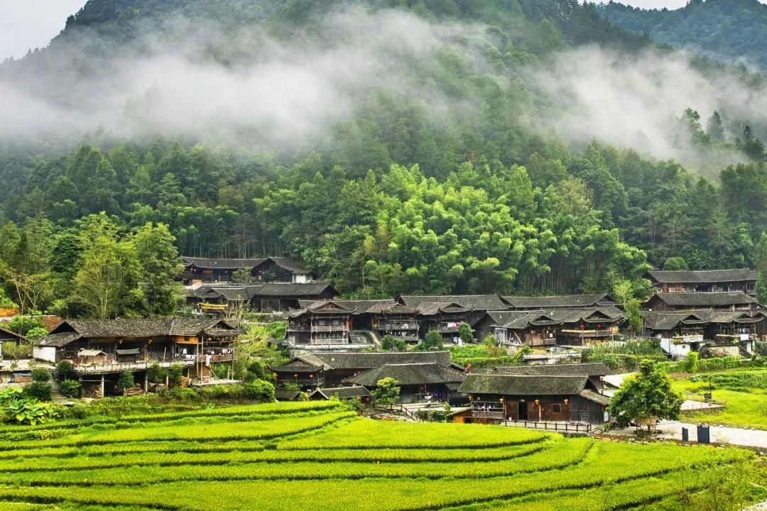 巴东野三关是富硒茶区吗