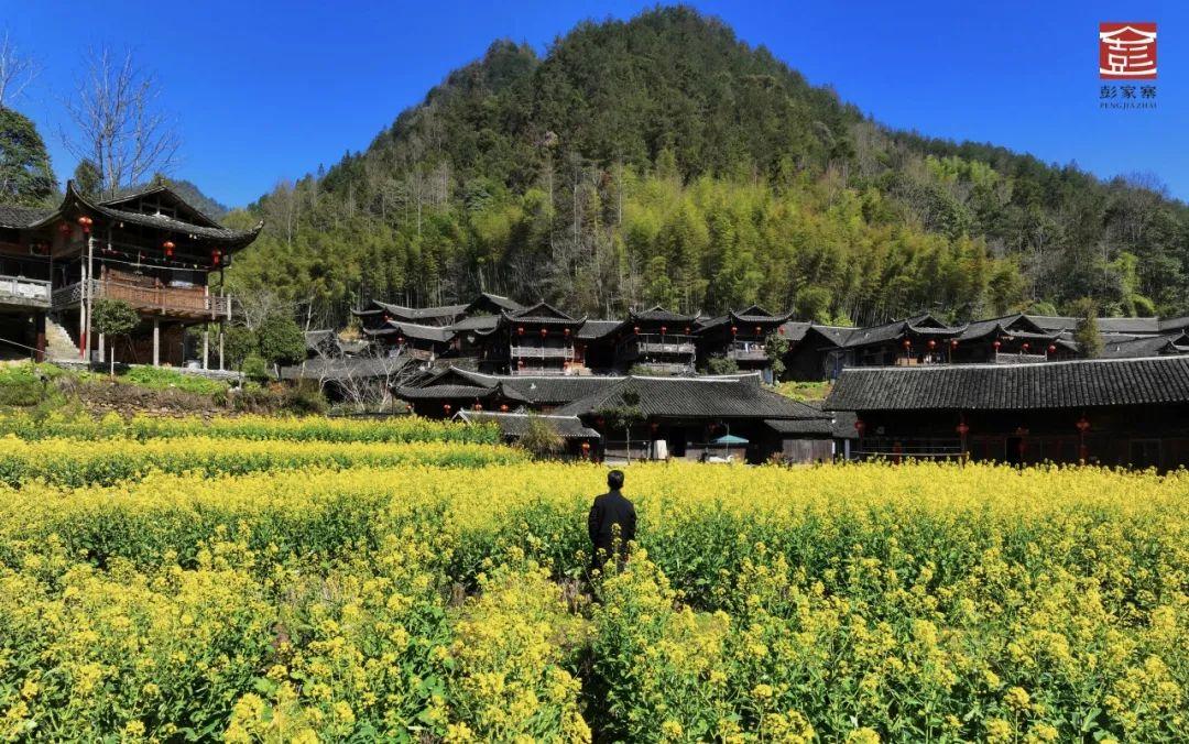 巴东野三关是富硒茶区吗