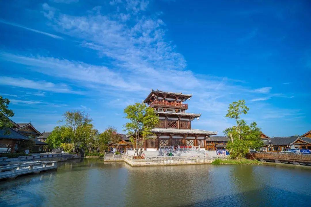 巴东野三关是富硒茶区吗