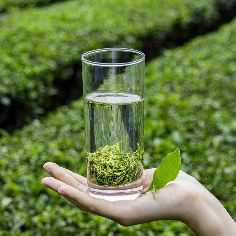 恩施富硒茶哪一款香耐泡