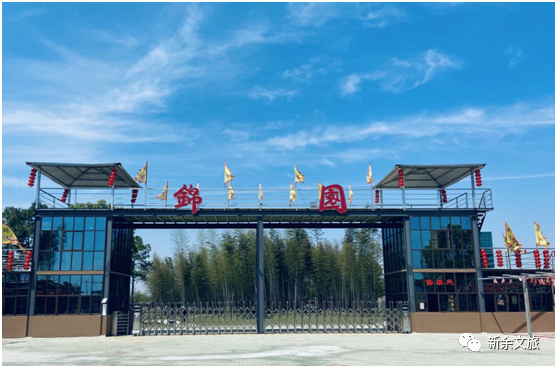 富硒青钱柳茶多少钱一盒