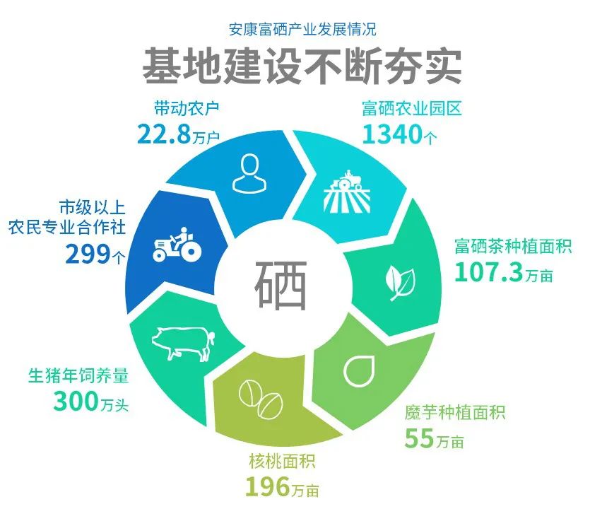 陕西安康富硒大米的介绍