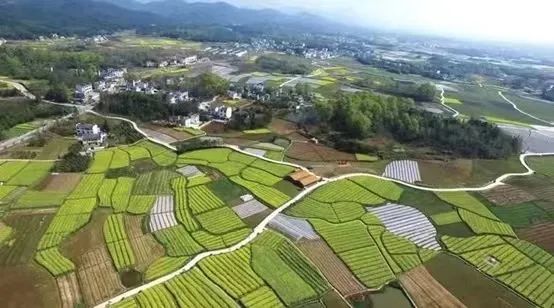 富硒粮仓大米是不是糯米