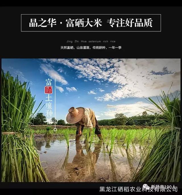 老徐会客厅——党明辉：天赐黑土“硒都”，地孕健康“硒米”