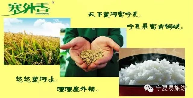 宁夏塞外香富硒大米品牌