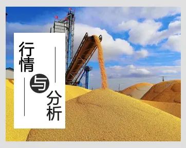 宁夏塞外香富硒大米品牌