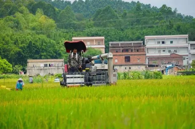 富硒大米是哪个国家品牌