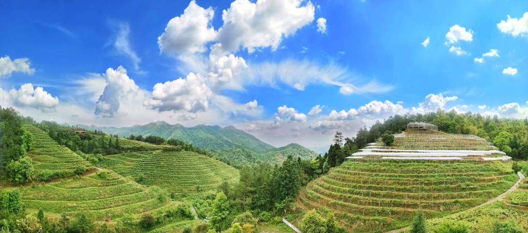 东北富硒大米有没有基金