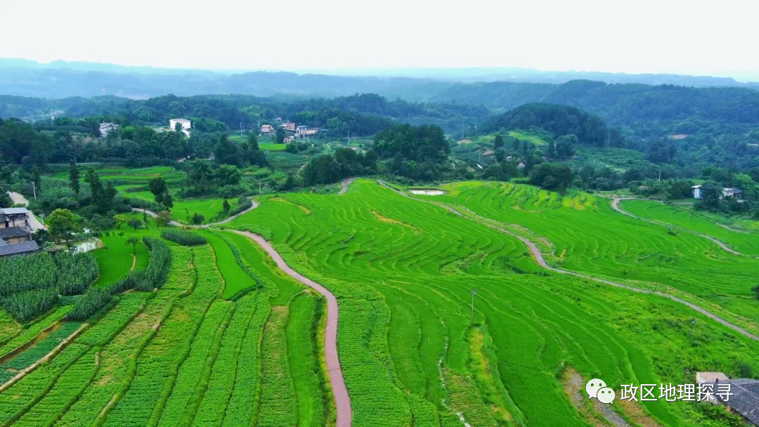 东北富硒大米的区位优势