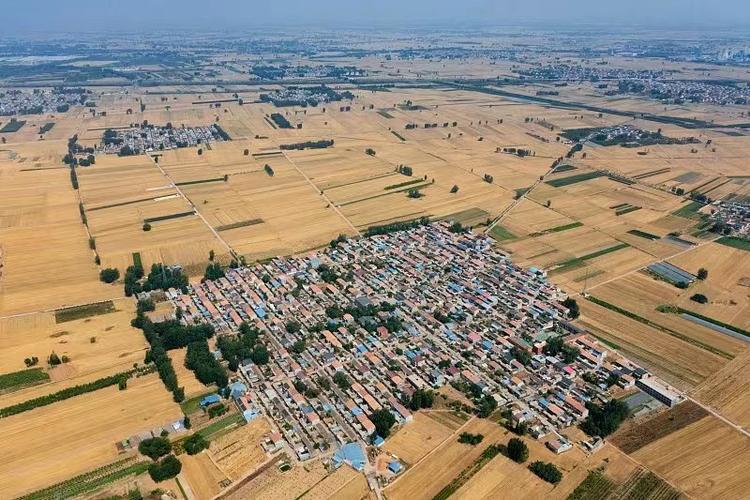 富硒大米哪个产地好吃点