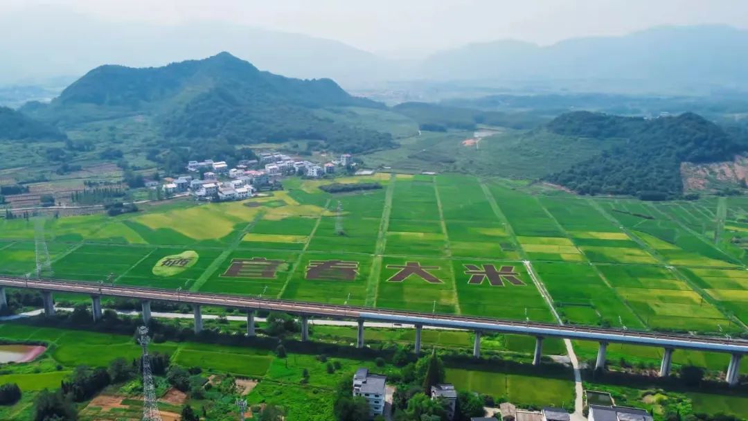 江西哪里有富硒大米批发