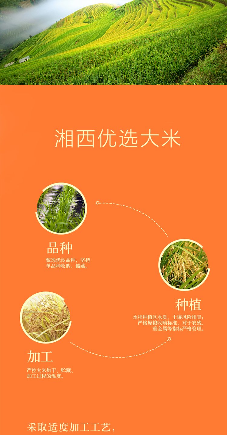 广西富硒大米在哪里销售