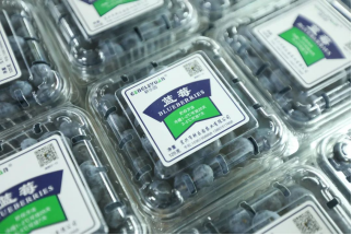 南京有机富硒大米品牌化