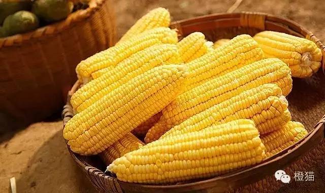 长寿之乡富硒大米好吃吗