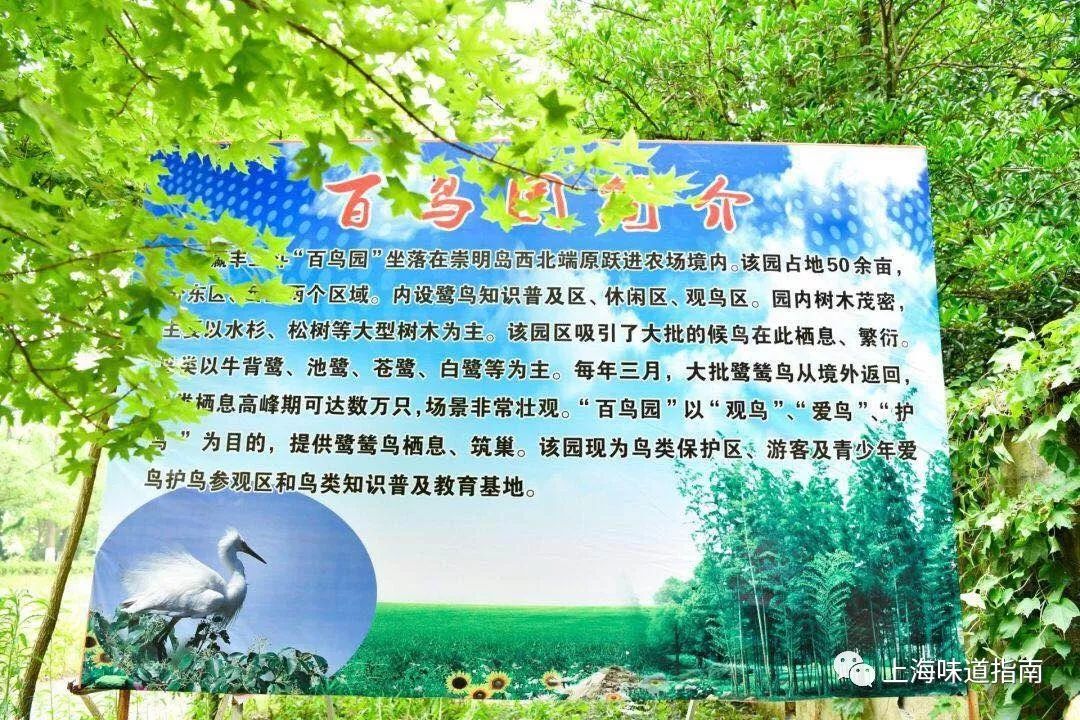 上海有机富硒大米的种植