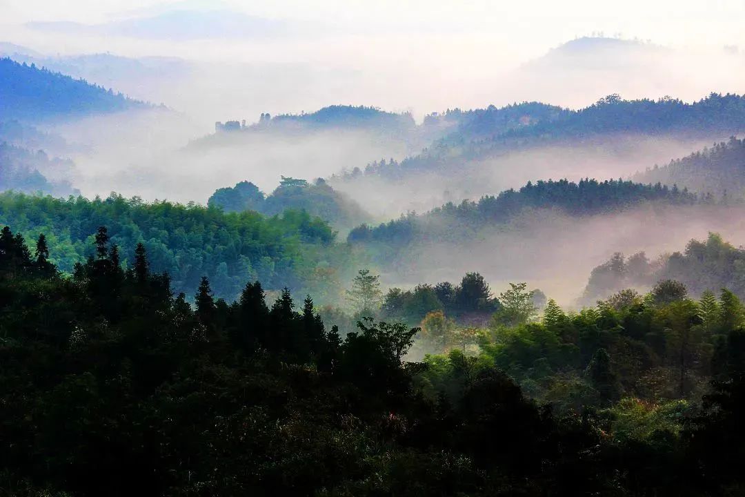 丰城乡意浓有机富硒大米