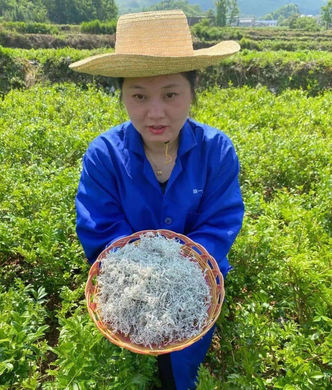 富硒大米是大自然的恩赐
