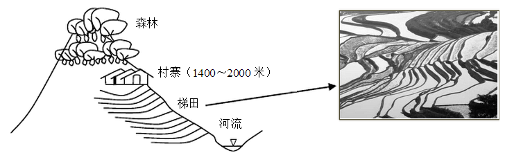 富硒大米种植周期表图示