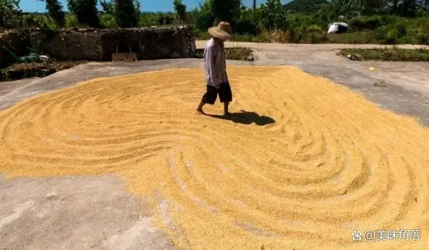 景阳富硒大米产地是哪里