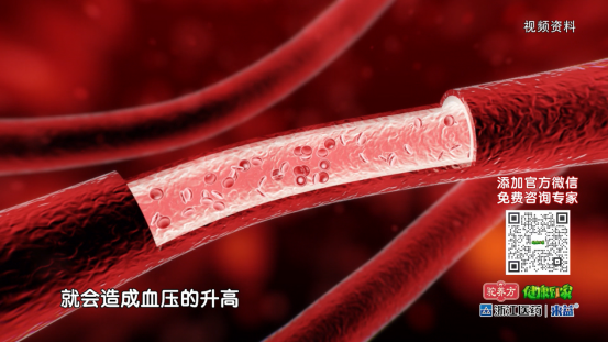富硒大米主要是哪些地方