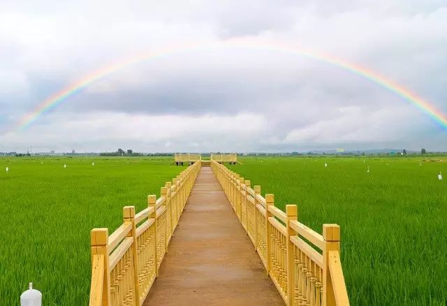 东北黑龙江方正富硒大米