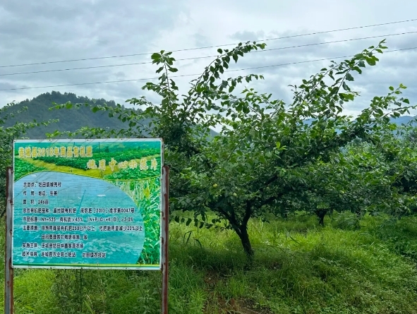 向阳店富硒大米价格多少