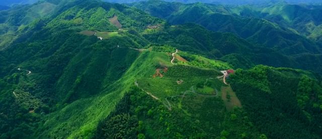 富硒大米含什么元素多呢