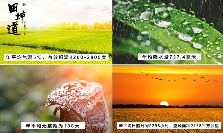 富硒大米和贡米哪个好吃