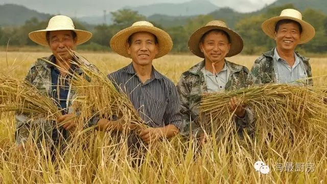 富硒鸭稻有机大米哪个好