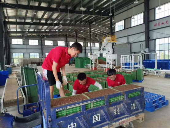 赣州富硒大米价格多少钱