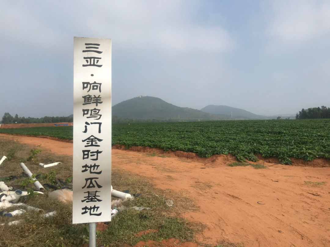 五常富硒大米 500g