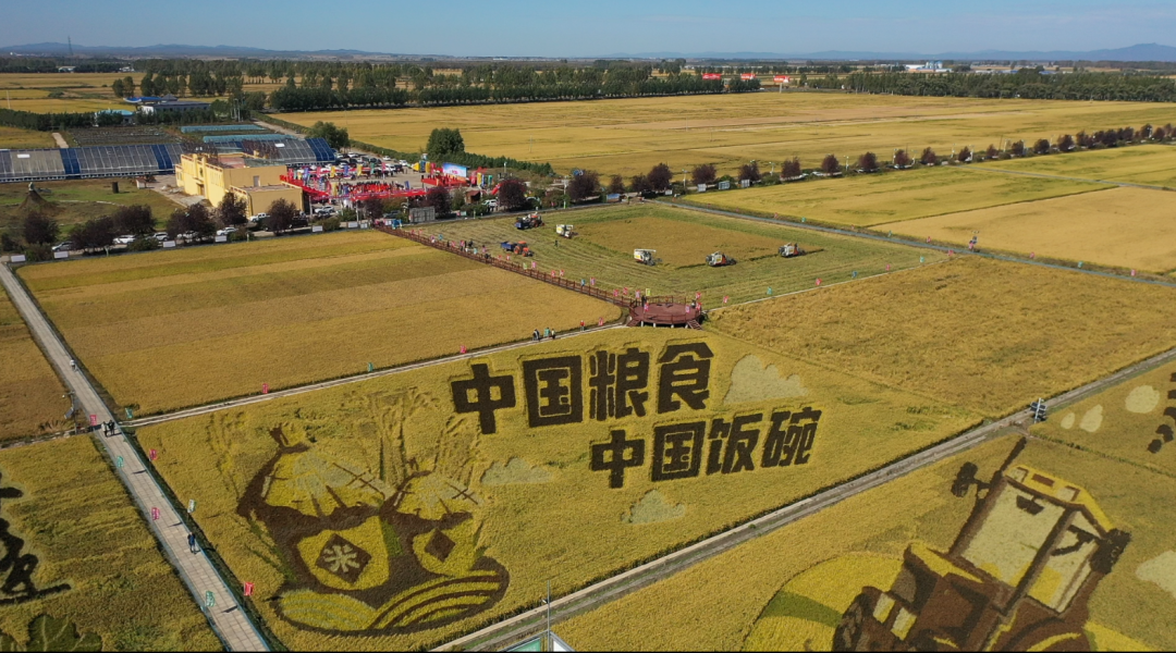 黑龙江方正富硒大米价格