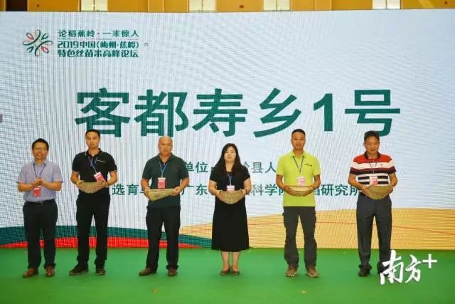富硒大米和丝苗米哪个好