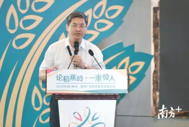 富硒大米和丝苗米哪个好