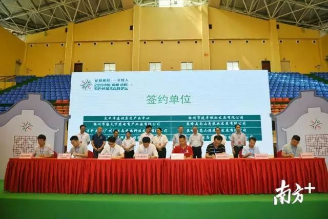 富硒大米和丝苗米哪个好