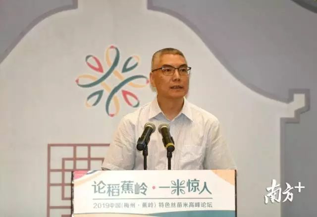 富硒大米和丝苗米哪个好