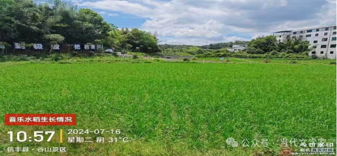 富硒大米一斤装有多少粒