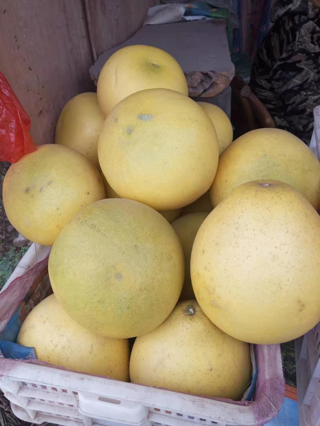 鸭田富硒大米多少钱1斤
