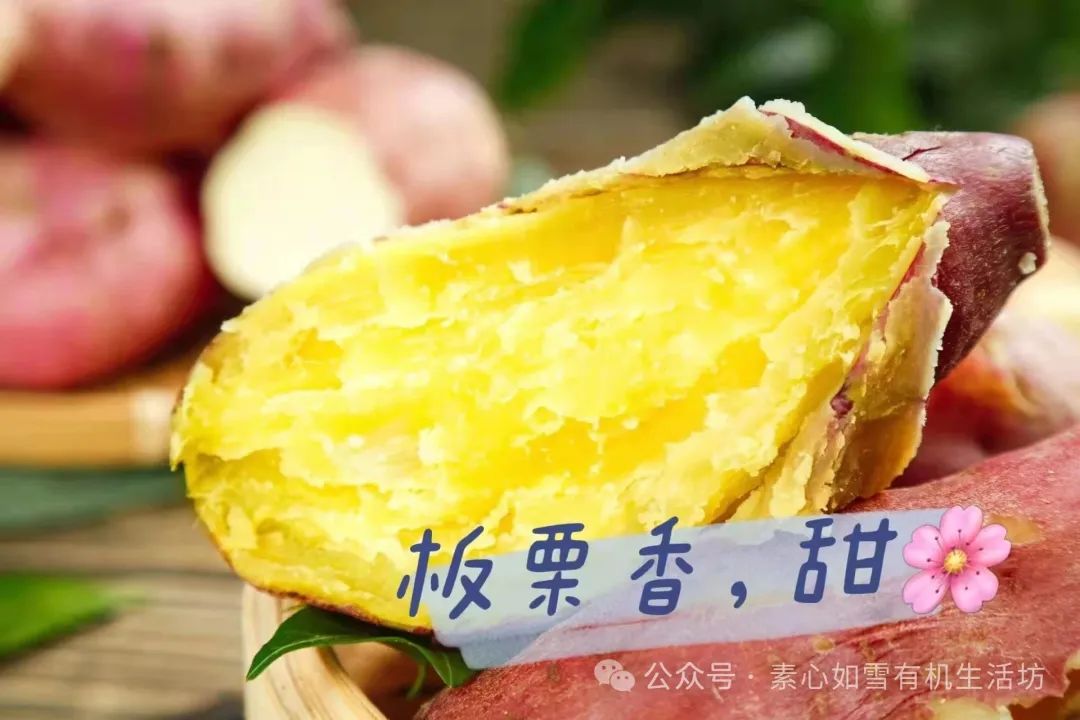 海南富硒地瓜减肥能吃吗