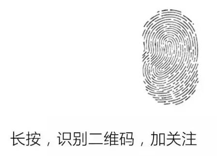 澄迈桥头富硒地瓜推荐店
