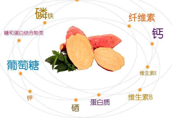 煮富硒地瓜多长时间好吃