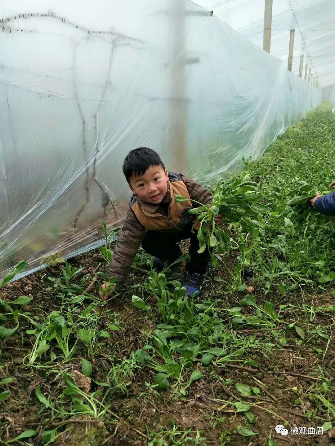 吃富硒面粉的功效与禁忌